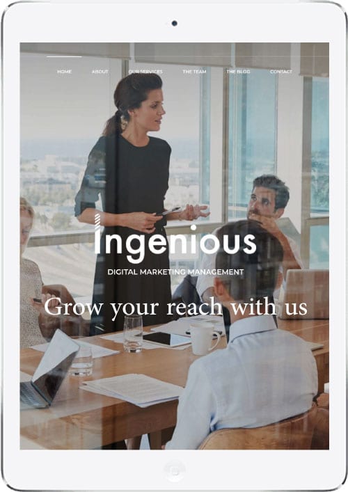 Ingenious Digital Marketing
